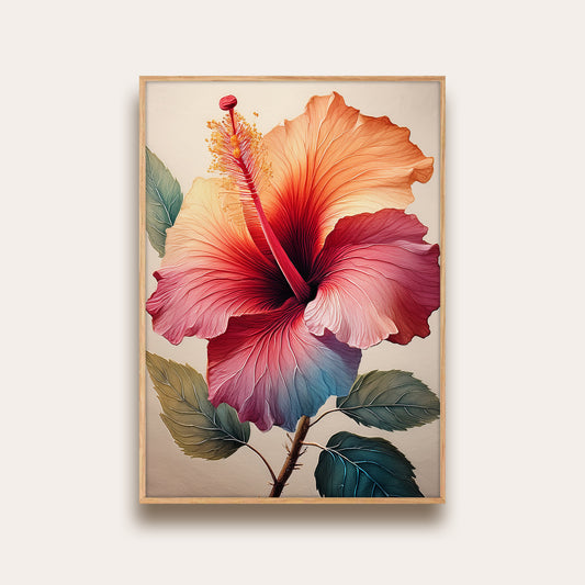 Hibiscus